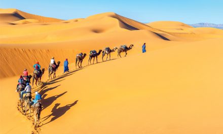 Women Travel Group in Morocco